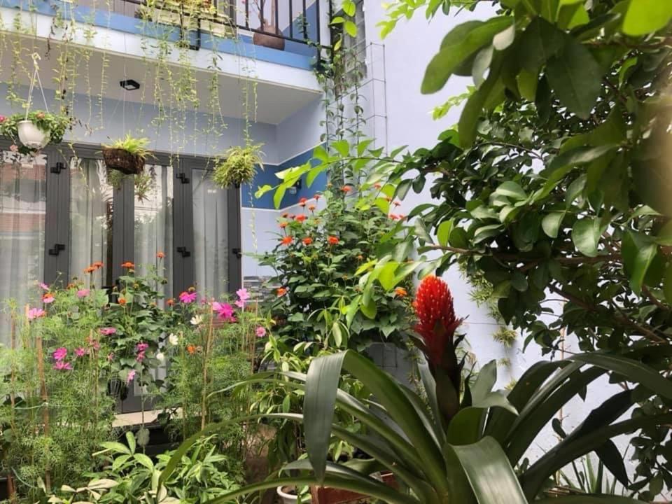 Cherry Garden Homestay Hoi An Esterno foto