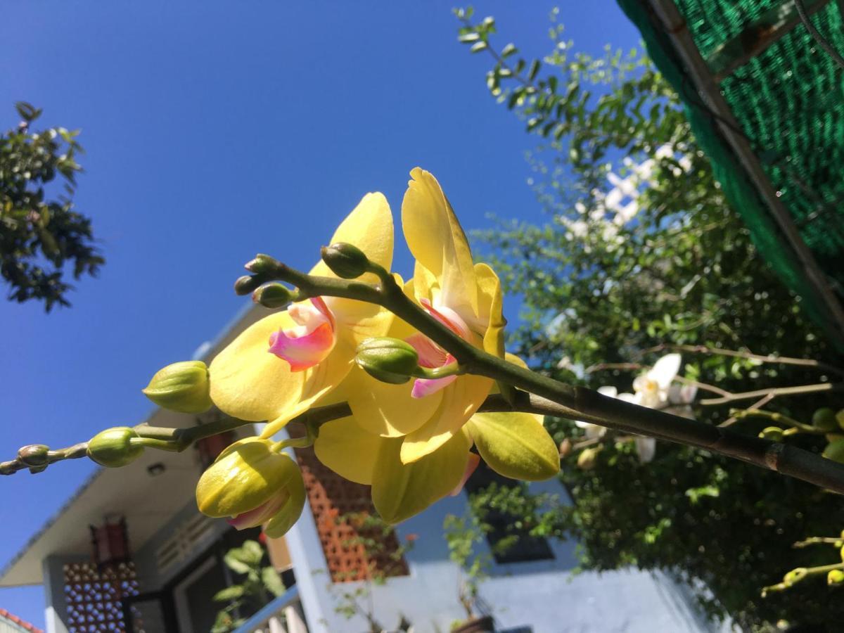 Cherry Garden Homestay Hoi An Esterno foto