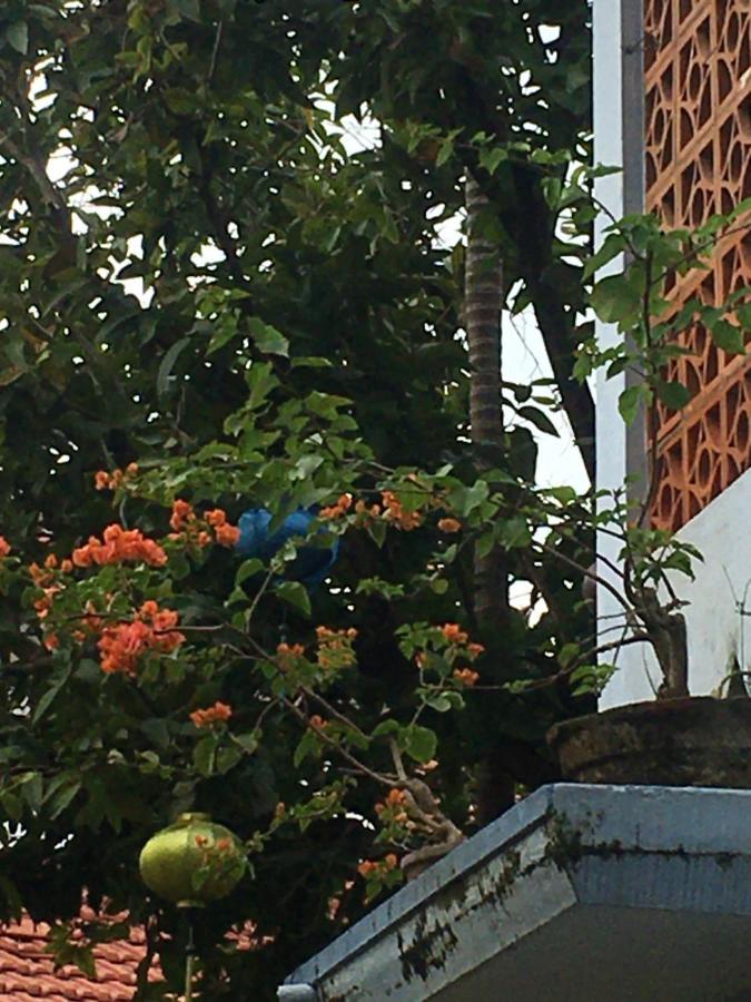 Cherry Garden Homestay Hoi An Esterno foto