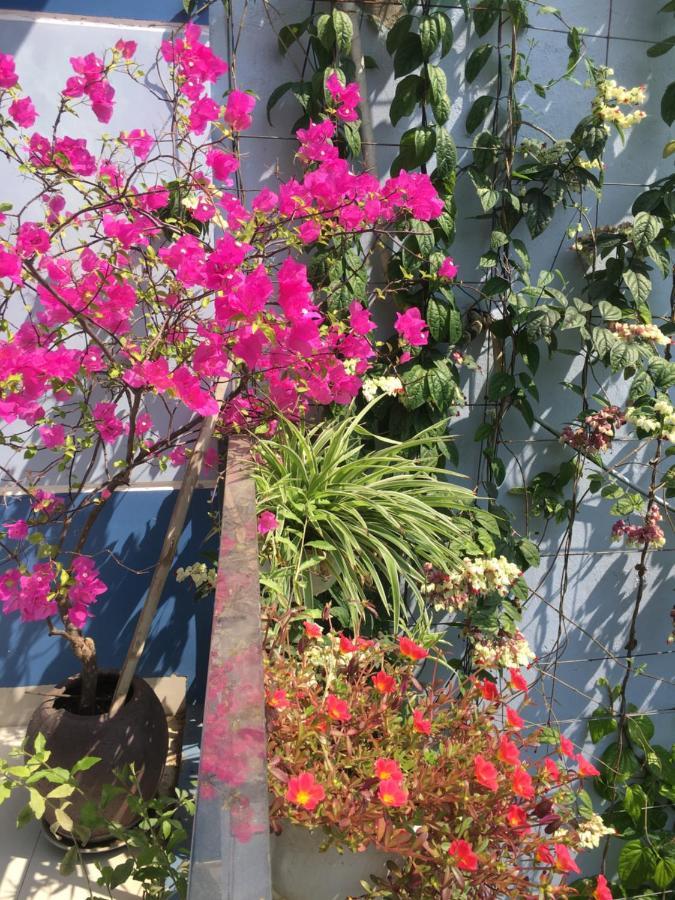 Cherry Garden Homestay Hoi An Esterno foto