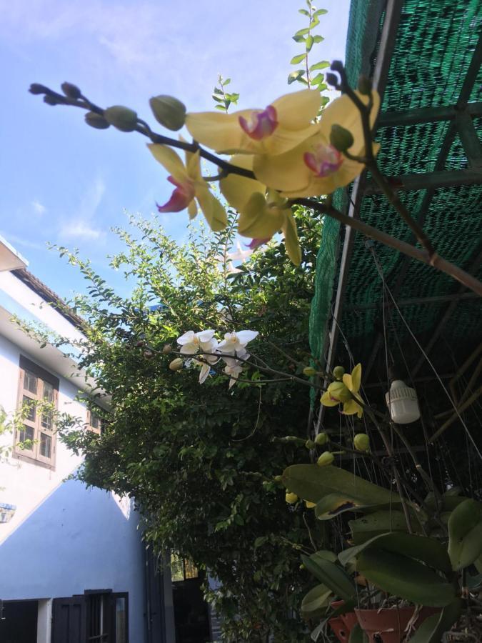Cherry Garden Homestay Hoi An Esterno foto
