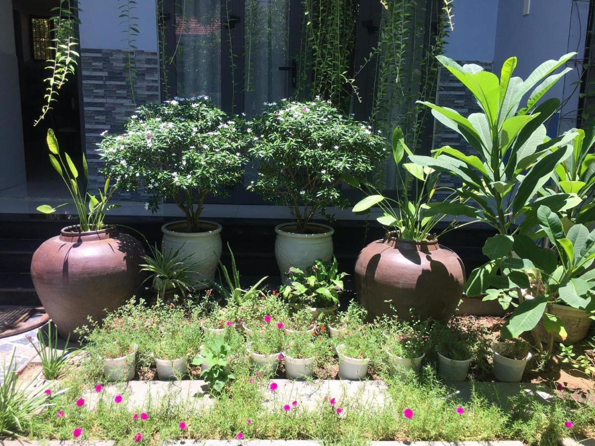 Cherry Garden Homestay Hoi An Esterno foto
