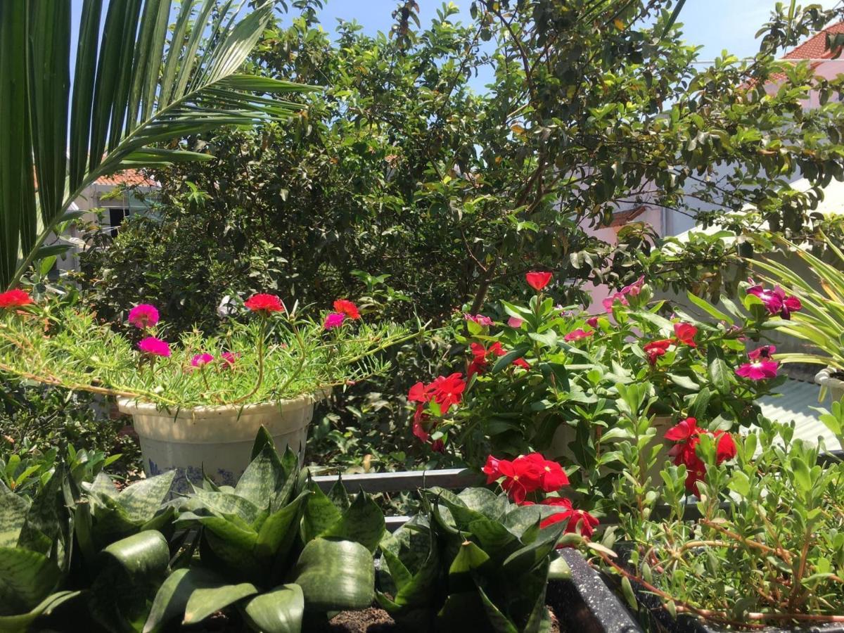 Cherry Garden Homestay Hoi An Esterno foto