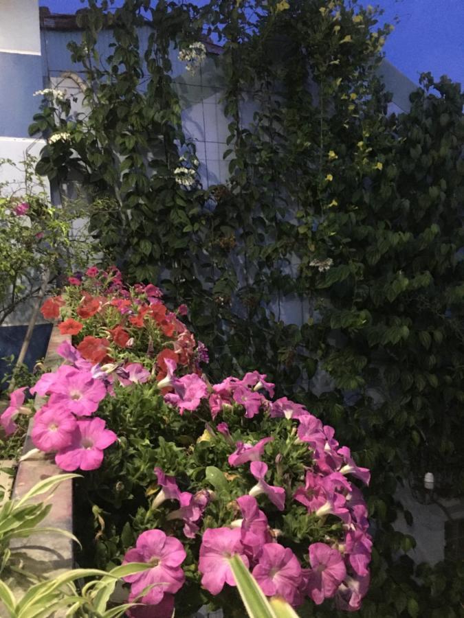 Cherry Garden Homestay Hoi An Esterno foto