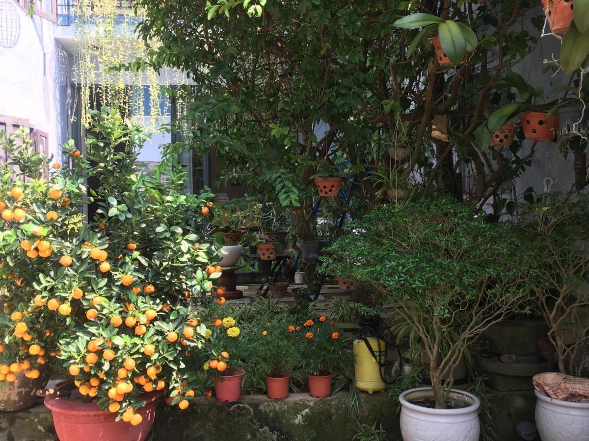 Cherry Garden Homestay Hoi An Esterno foto