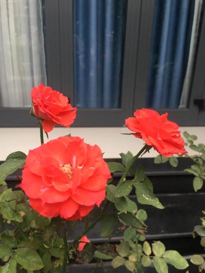Cherry Garden Homestay Hoi An Esterno foto